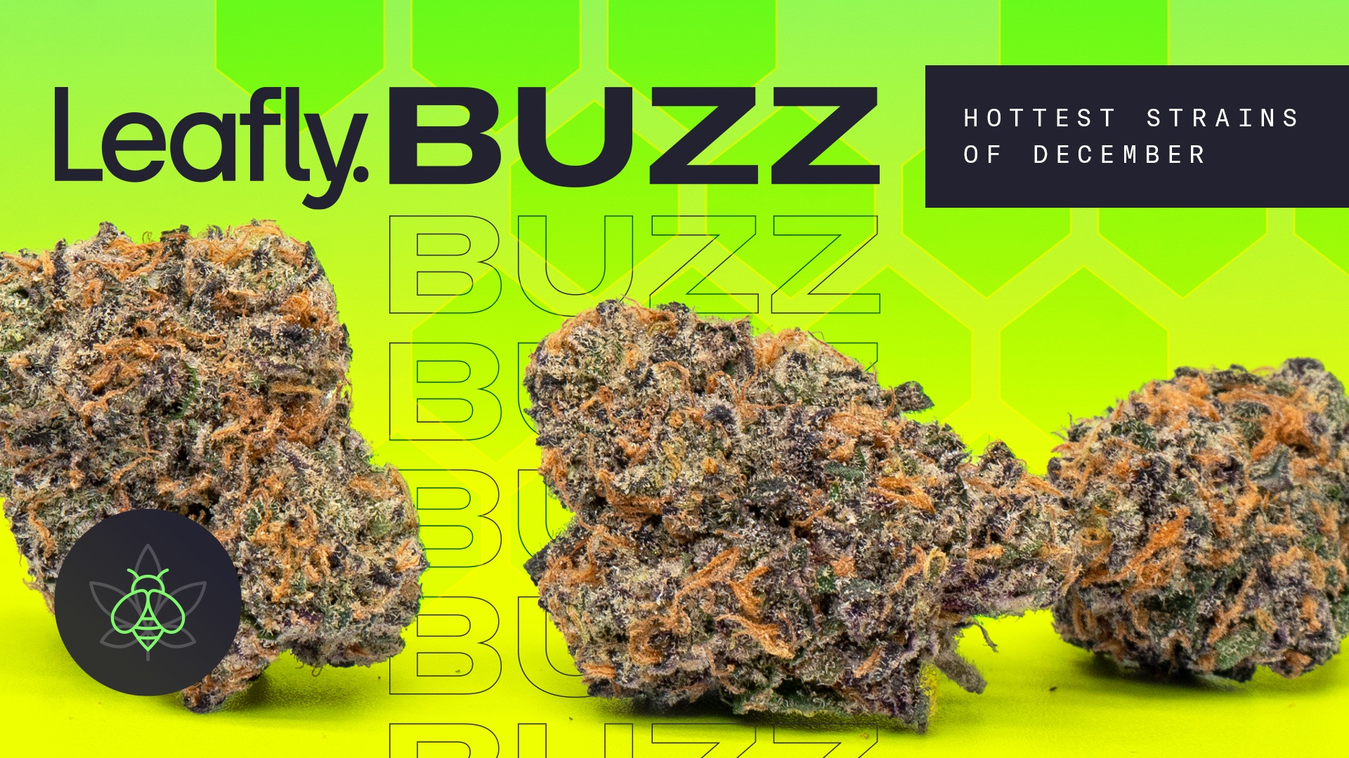 Leafly Buzz 12 top cannabis strains of December Leafly