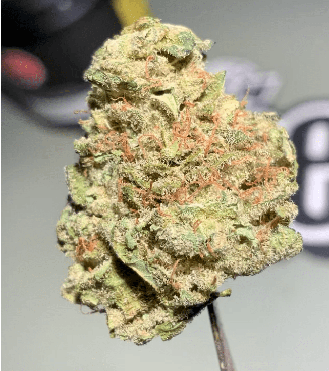 Northern Lights Strain Buy Weed Online