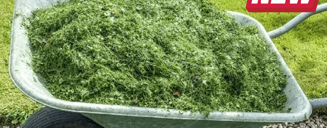 You Will Never Throw Away Grass Clippings After This Gardening hacks