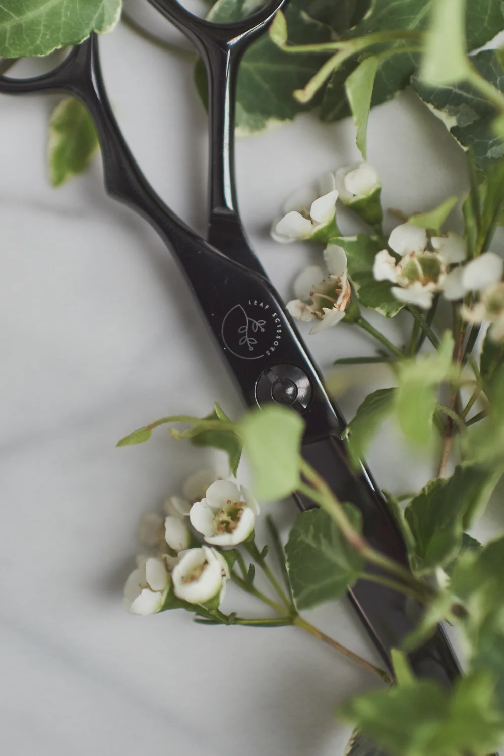 How to Hold Hairdressing Scissors Correctly LeafScissors Leaf Scissors