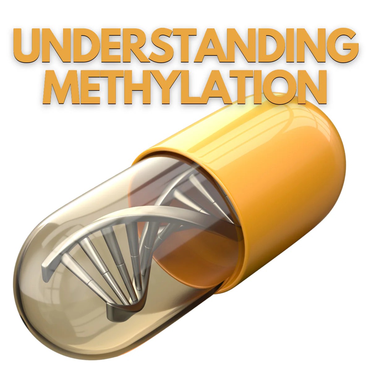 Understanding Methylation Unveiling the Mystery of Nutrient Utilizat