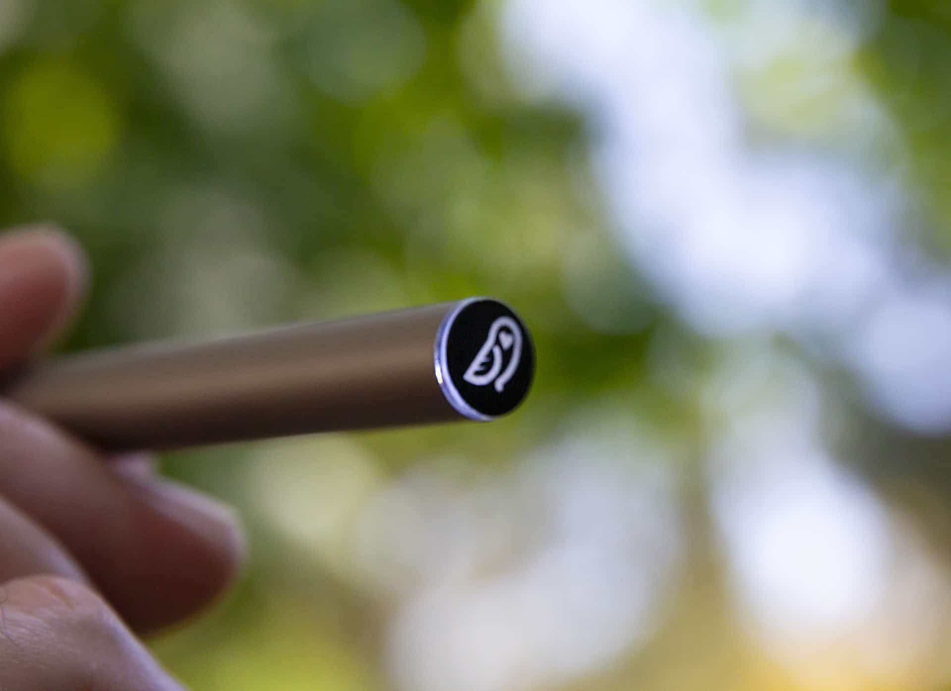 Buttonless Vape Pen Battery Leafwize Naturals