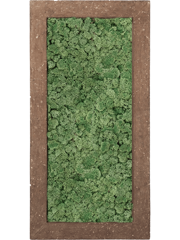 Leafy Life reindeer moss on polystone (100x50cm) rectangular moss