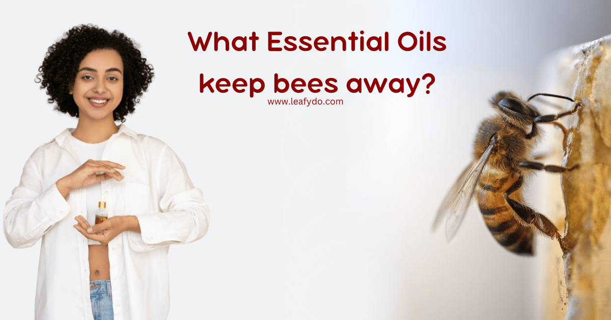 What essential oils keep bees away?