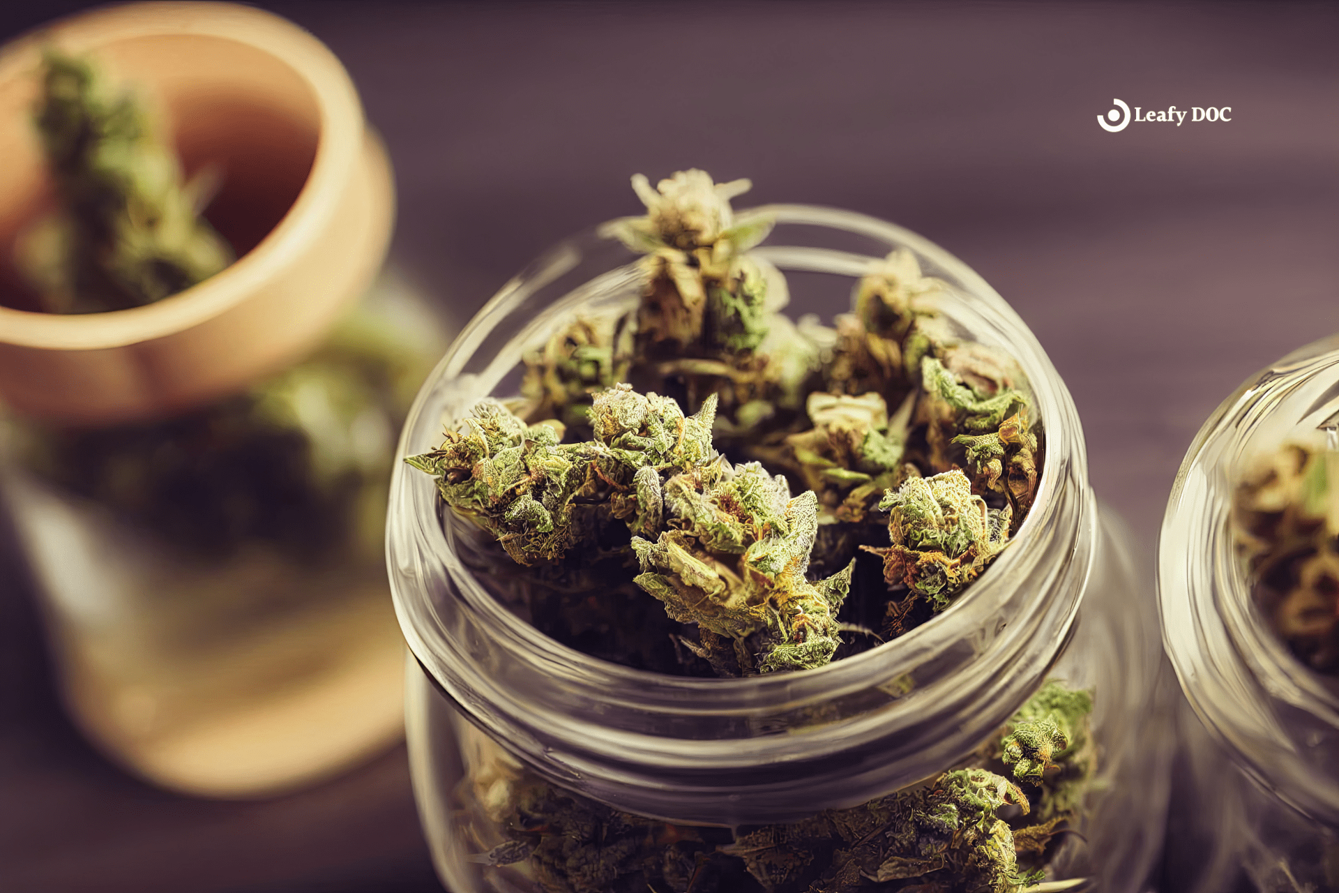 Cannabis Strain Genetics: Indica vs. Sativa vs. Hybrid