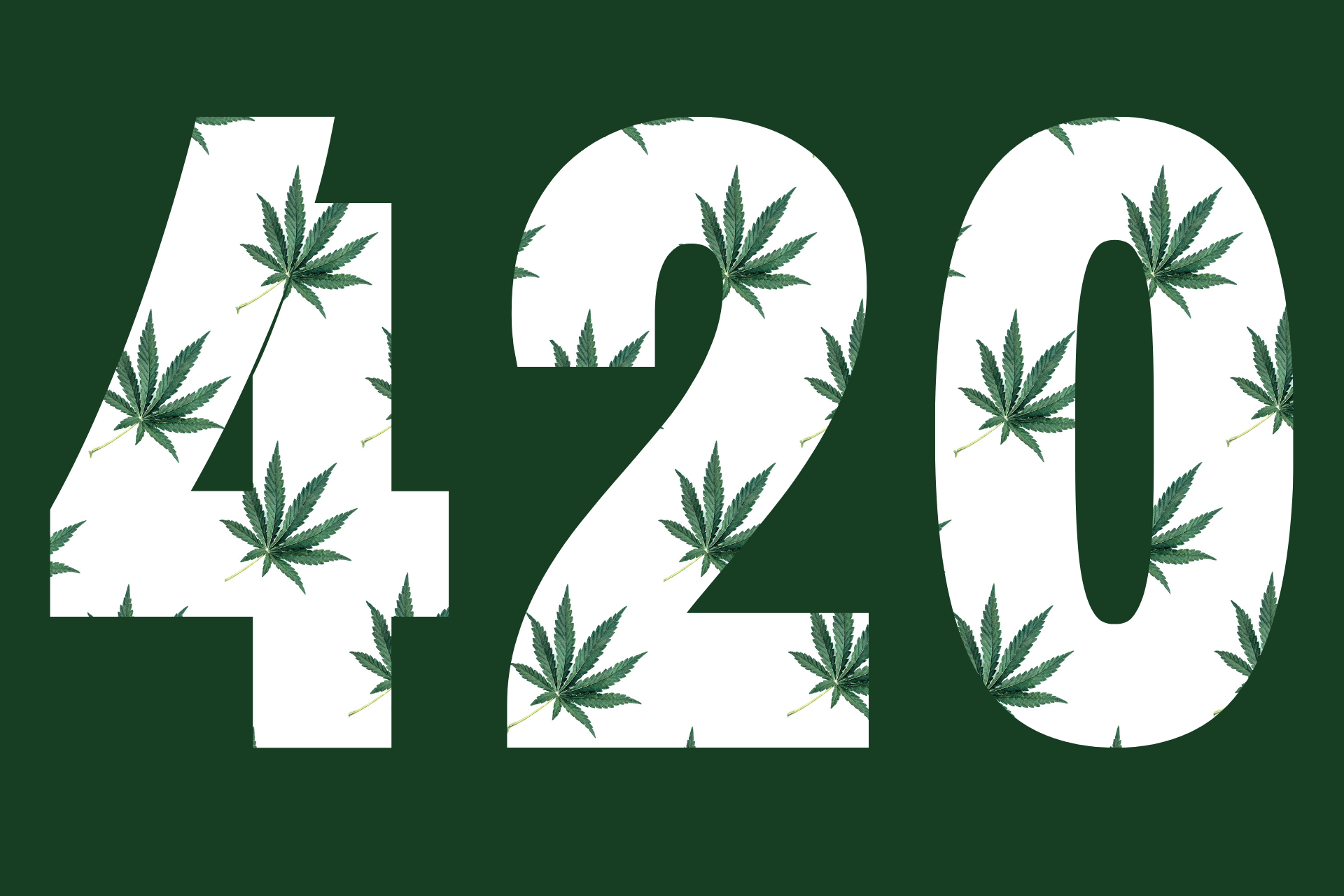 What is 420? Cannabis 101 | Leafy Mate