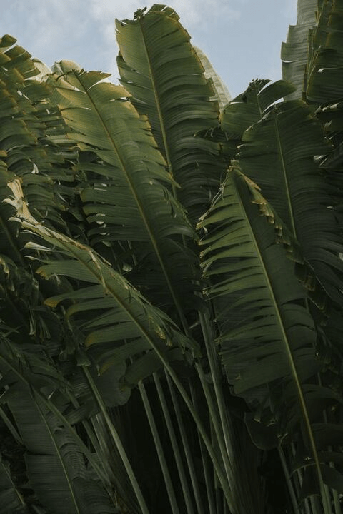 Janae Girard janaeegf Leaked OnlyFans - leakedf