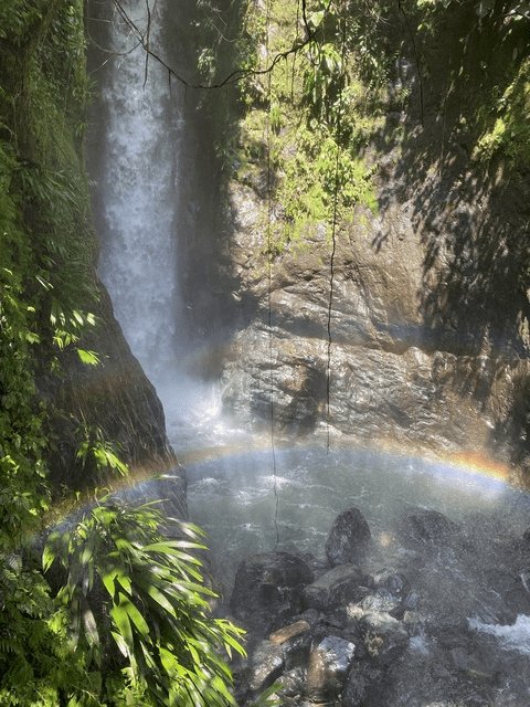 Free access to @lowelleffy Leaks OnlyFans - leakedf