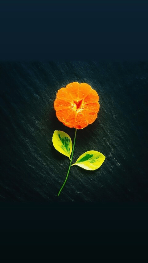 kaixmatty (kai) OnlyFans Leaked Pictures & Videos - leakedf