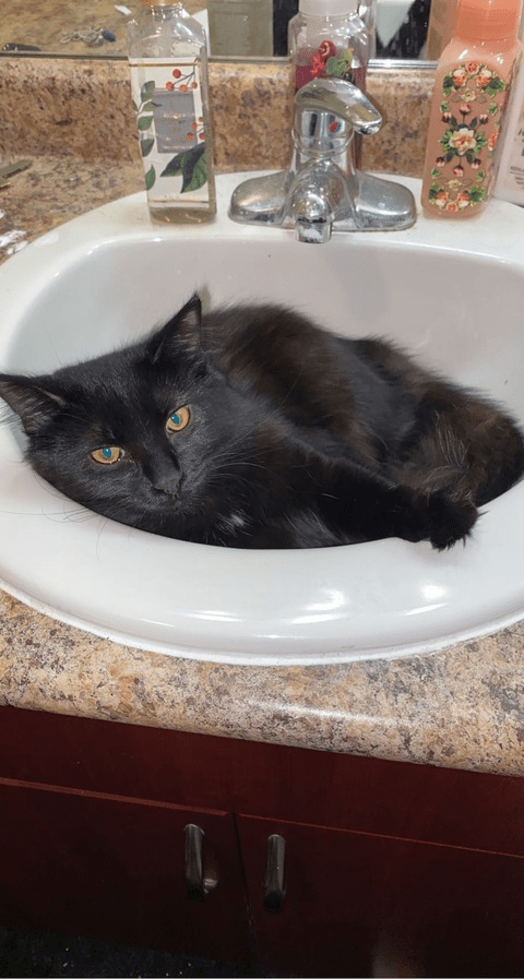 noteasybeinwheezy (Anna) free OnlyFans content [UPDATED] - LeakedOnlyF