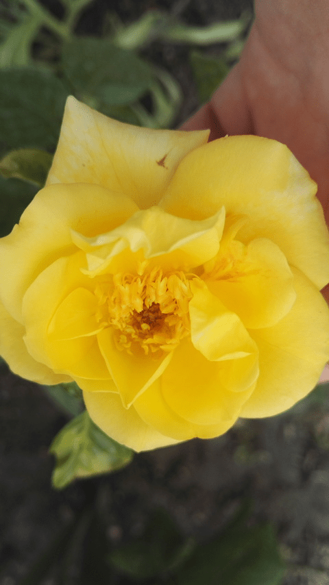 Hot @partycandy leaks Onlyfans videos free - LeakedPerformer