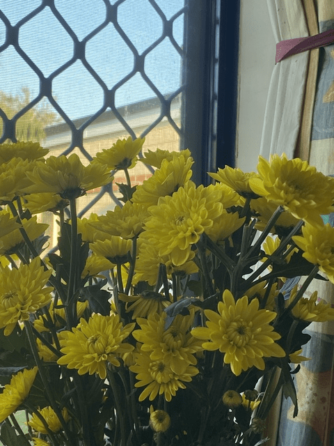 Download faebearx OnlyFans content free - LeakedPerformer