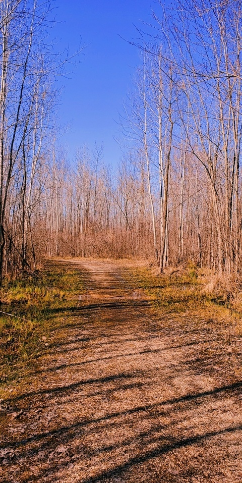 kinky-aphrodite OnlyFans Leaked - LeakedPerformer