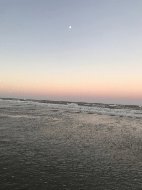 BB_Bad briyoncebad Leaks OnlyFans - leakedtop.com