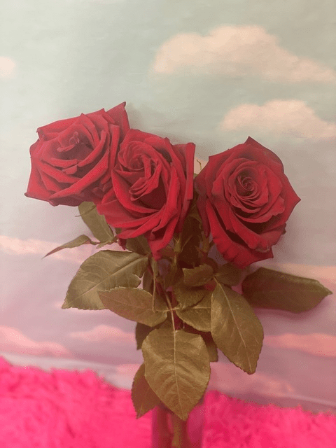 berryrollo (Berry) OnlyFans Leaked Videos and Pictures - leakedtop.com