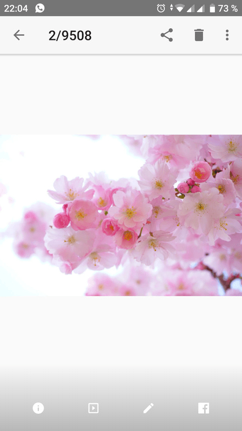 [Leaked] Download all gabriellaellysefree (GABRIELLAELLYSE) Images and Videos for free