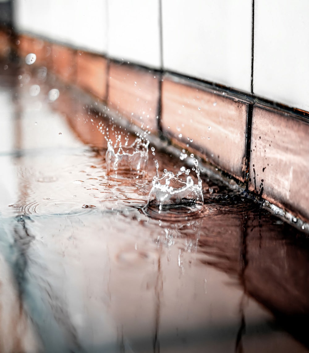 Why Roof Leaks Happen and How to Spot Them