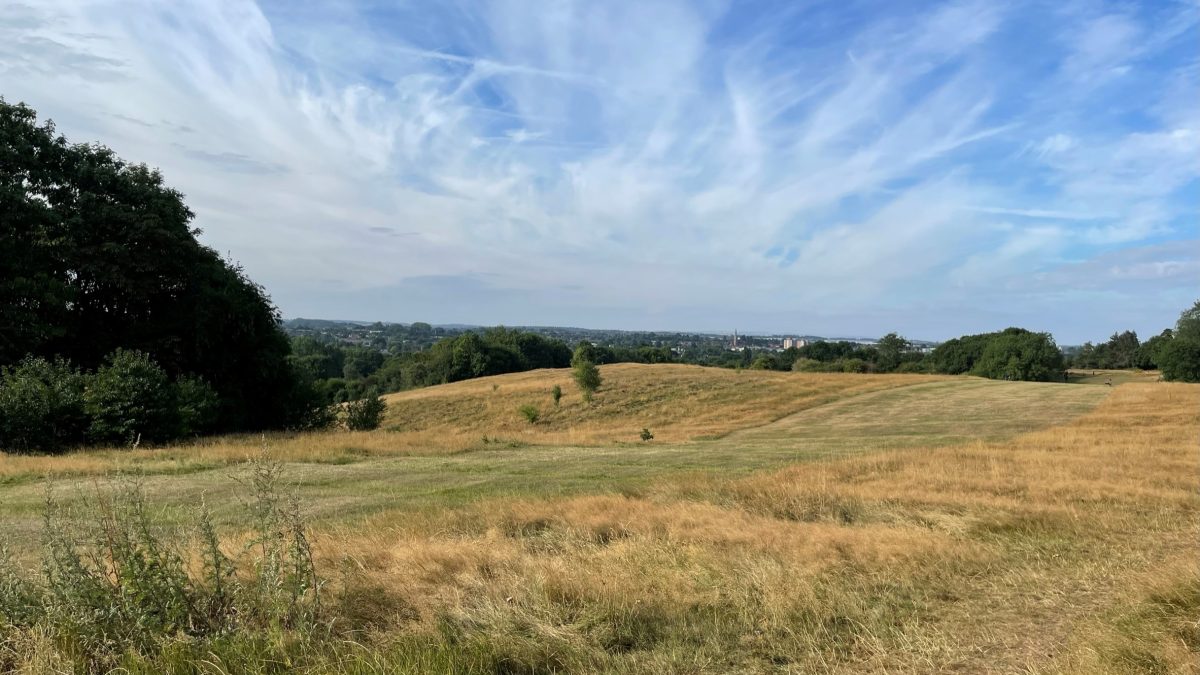 No wildlife harmed during the construction of Newbold Comyn cycle
