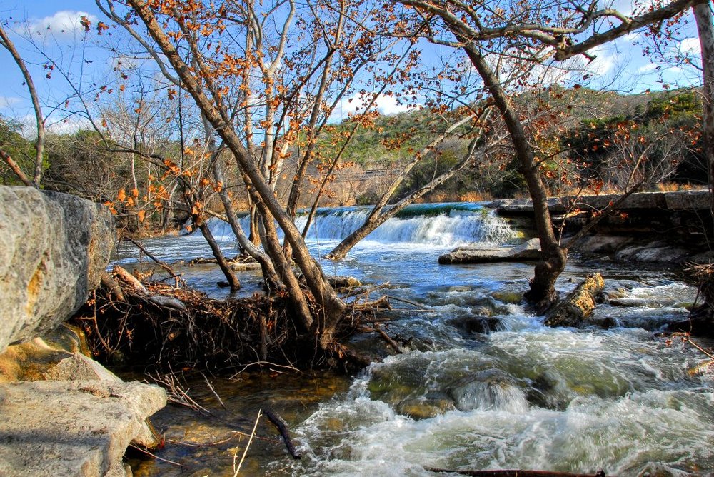 The 5 Best Dog Parks in the Austin Area Professional Pet Sitting and