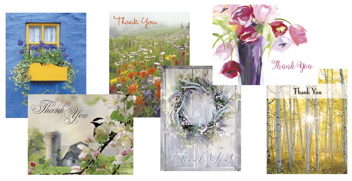 Blank Note Card Assortment 2 each of 6 designs 49510 Th...