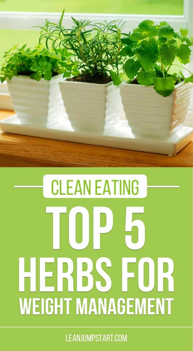 5 types of herbs for weight loss to grow indoors (+ organizational steps)