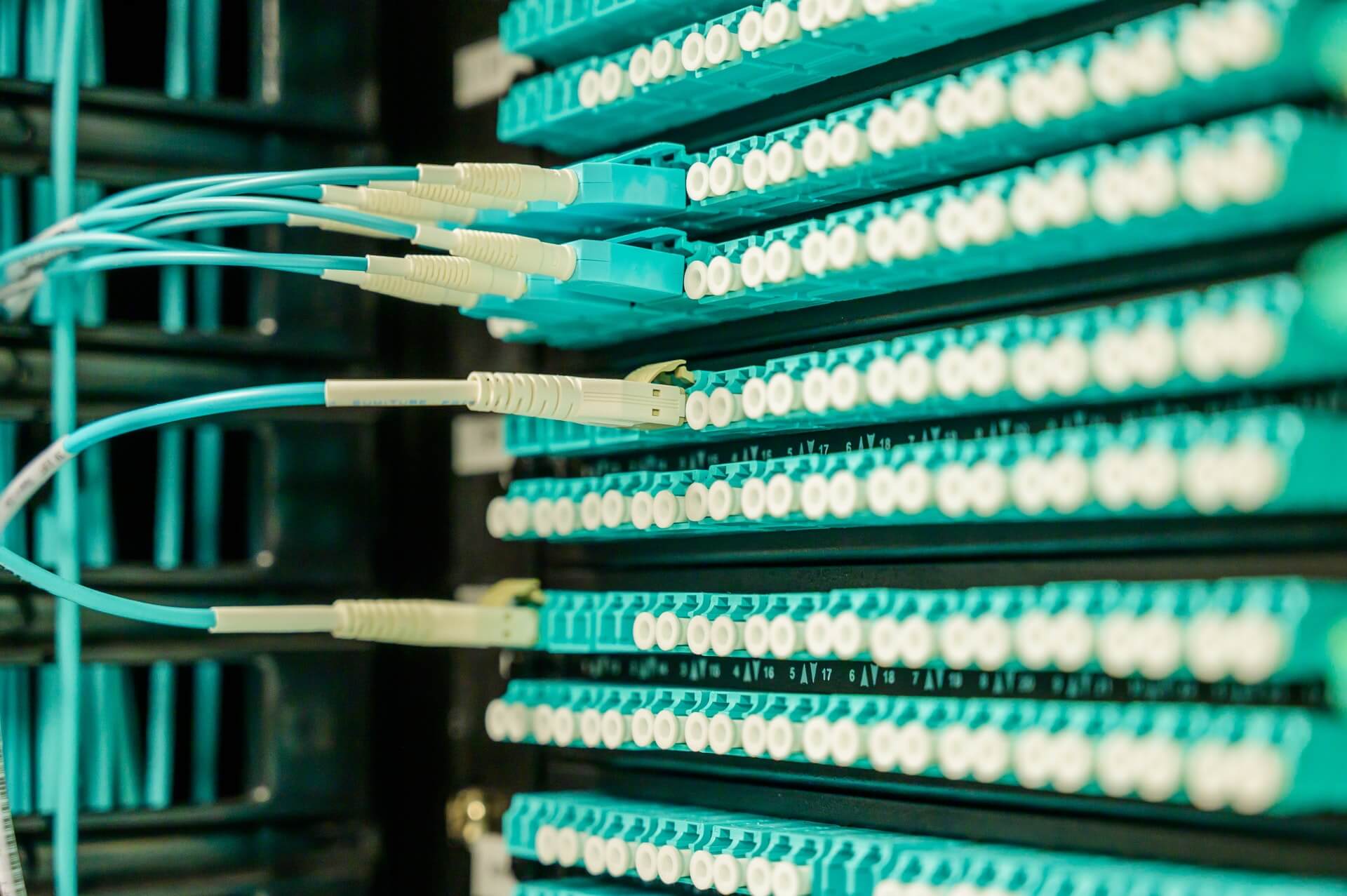 EcoFriendly and Carbon neutral website hosting based in