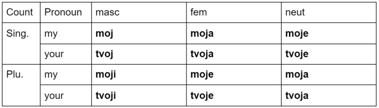 Detailed Guide to Learning Possessive Pronouns in Croatian