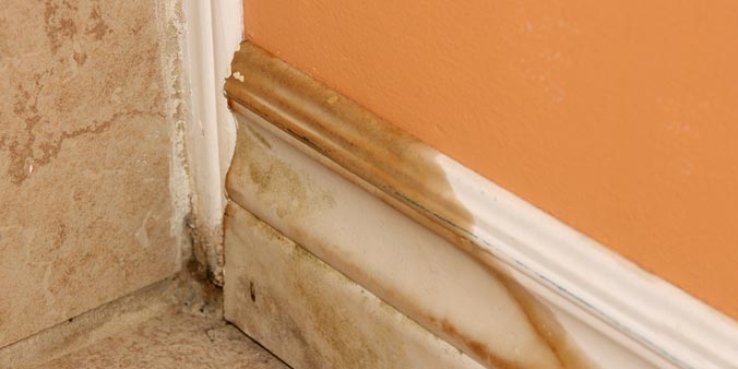If there is an air purifier, it will draw air into its filter, remove particles, such as mold and then push out the clean. How Air Purifiers Help Kill Mold Spores Allergyandair Com