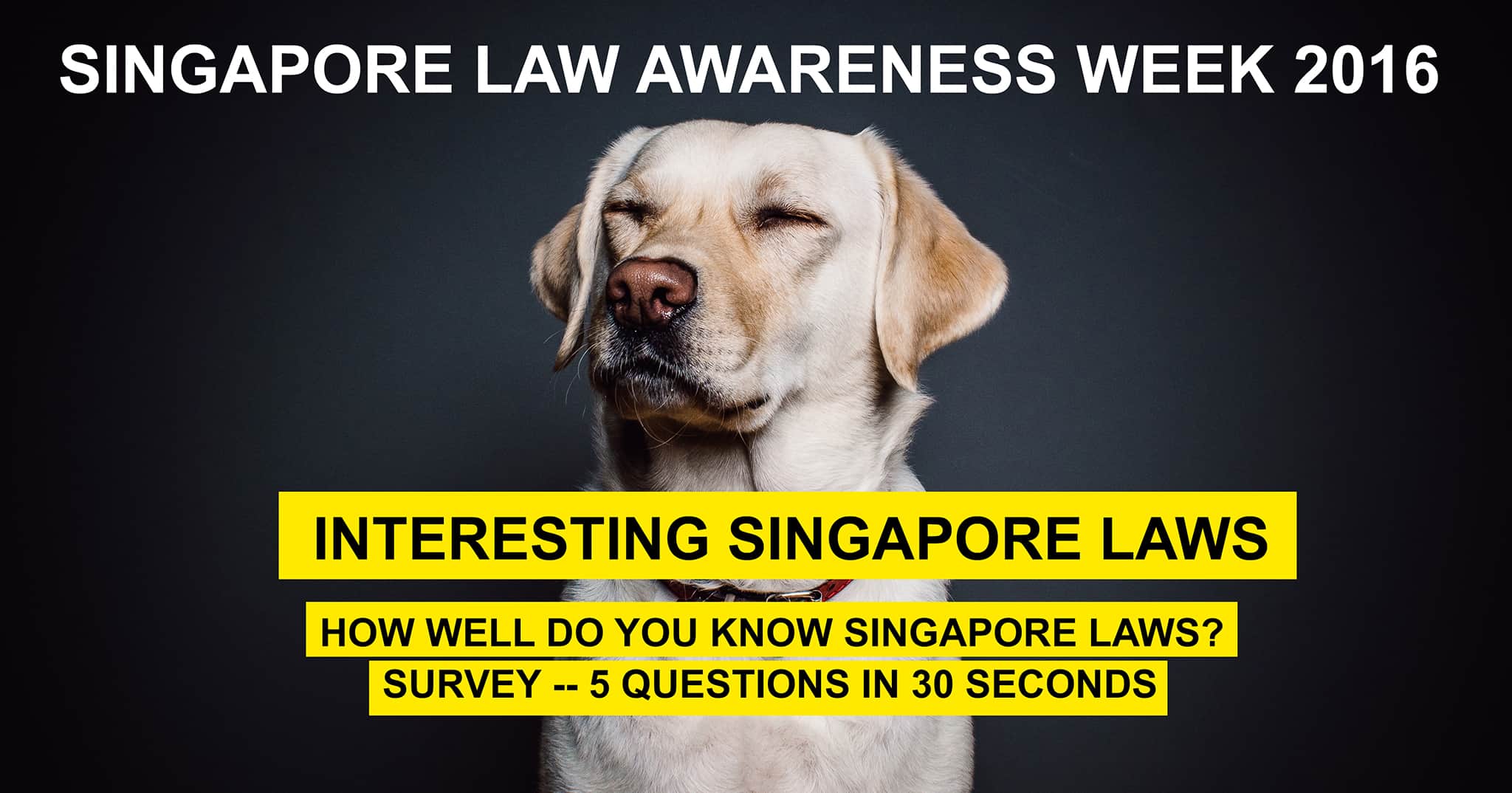 How well do you know Singapore Laws? Asia Law Network Blog