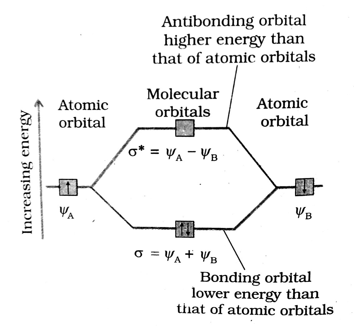 How to solve this problem Among the following species , the