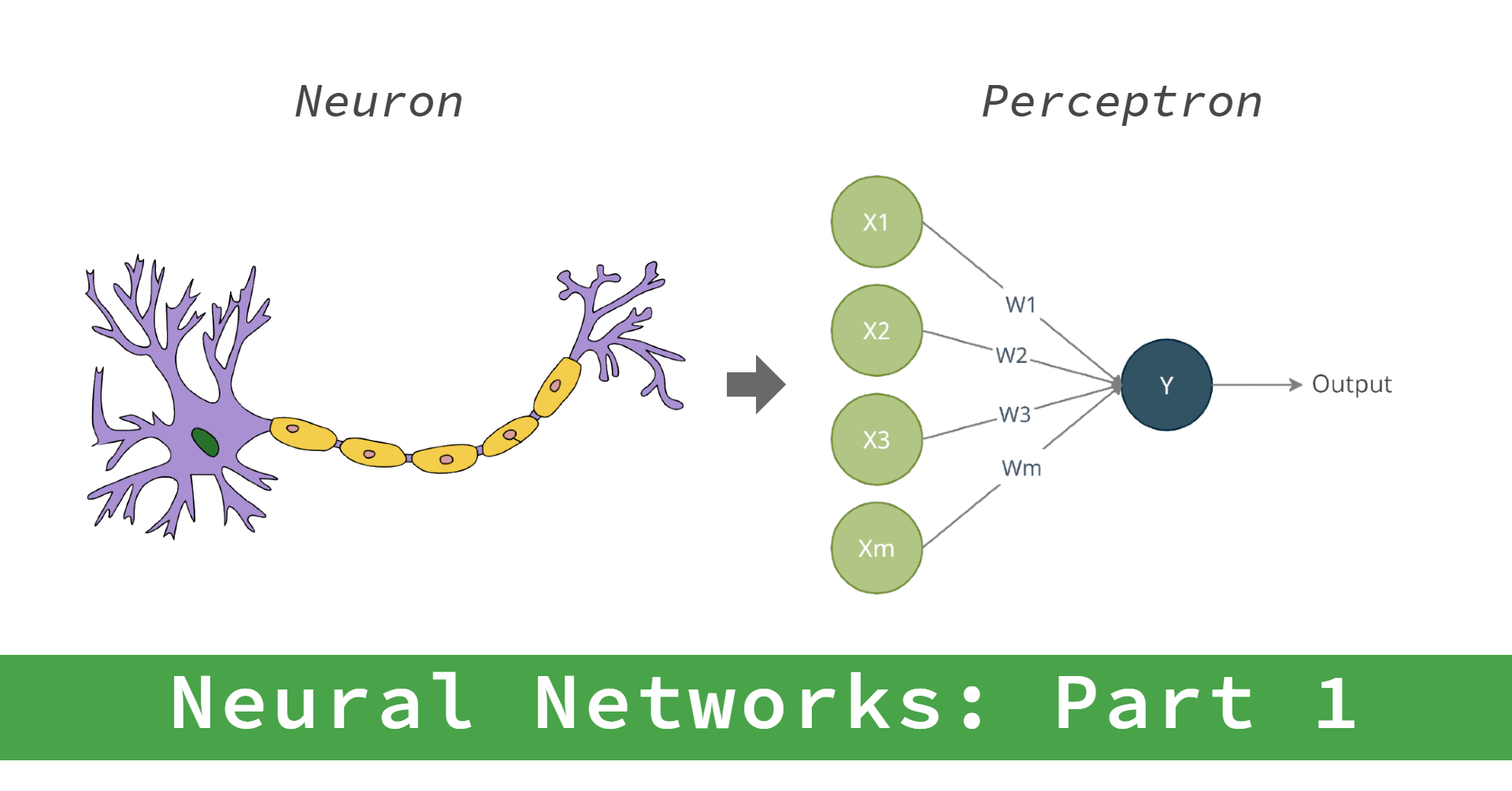 Neural Networks Creating a Perceptron Model in Python Circuitrocks