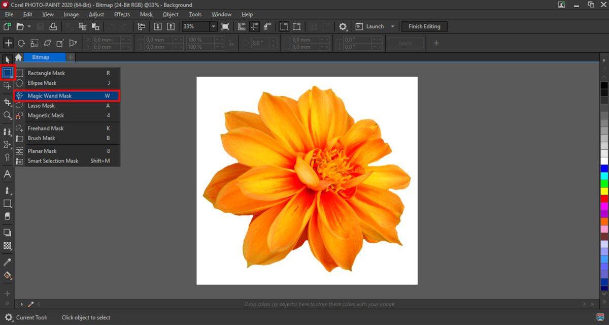 Removing backgrounds from images in CorelDRAW and PHOTOPAINT Corel Discovery Center
