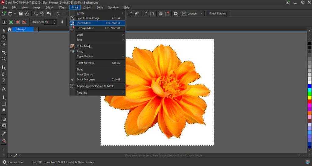 Removing backgrounds from images in CorelDRAW and PHOTOPAINT Corel Discovery Center