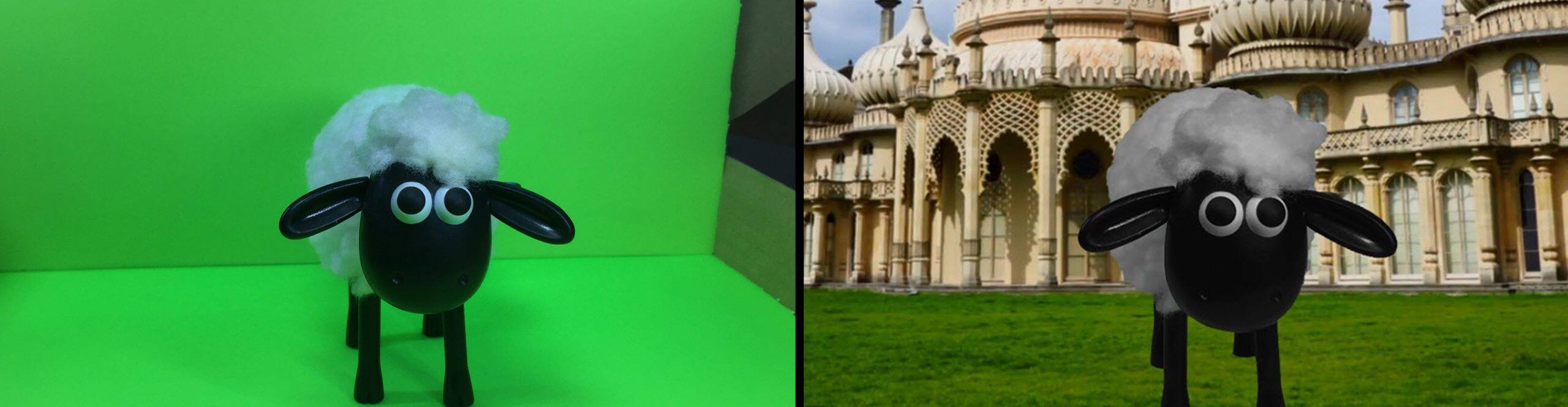 Portable Mini Green Screen Corel Discovery Center