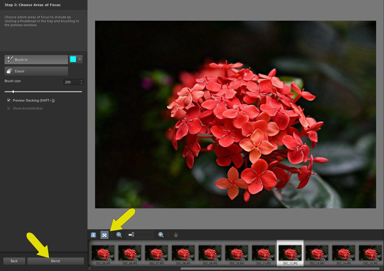 Pro 焦点合成の使い方 コーレル ディスカバリー センター ジャパン