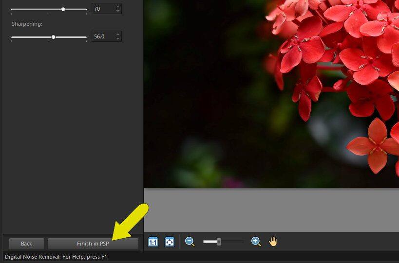Pro 焦点合成の使い方 コーレル ディスカバリー センター ジャパン
