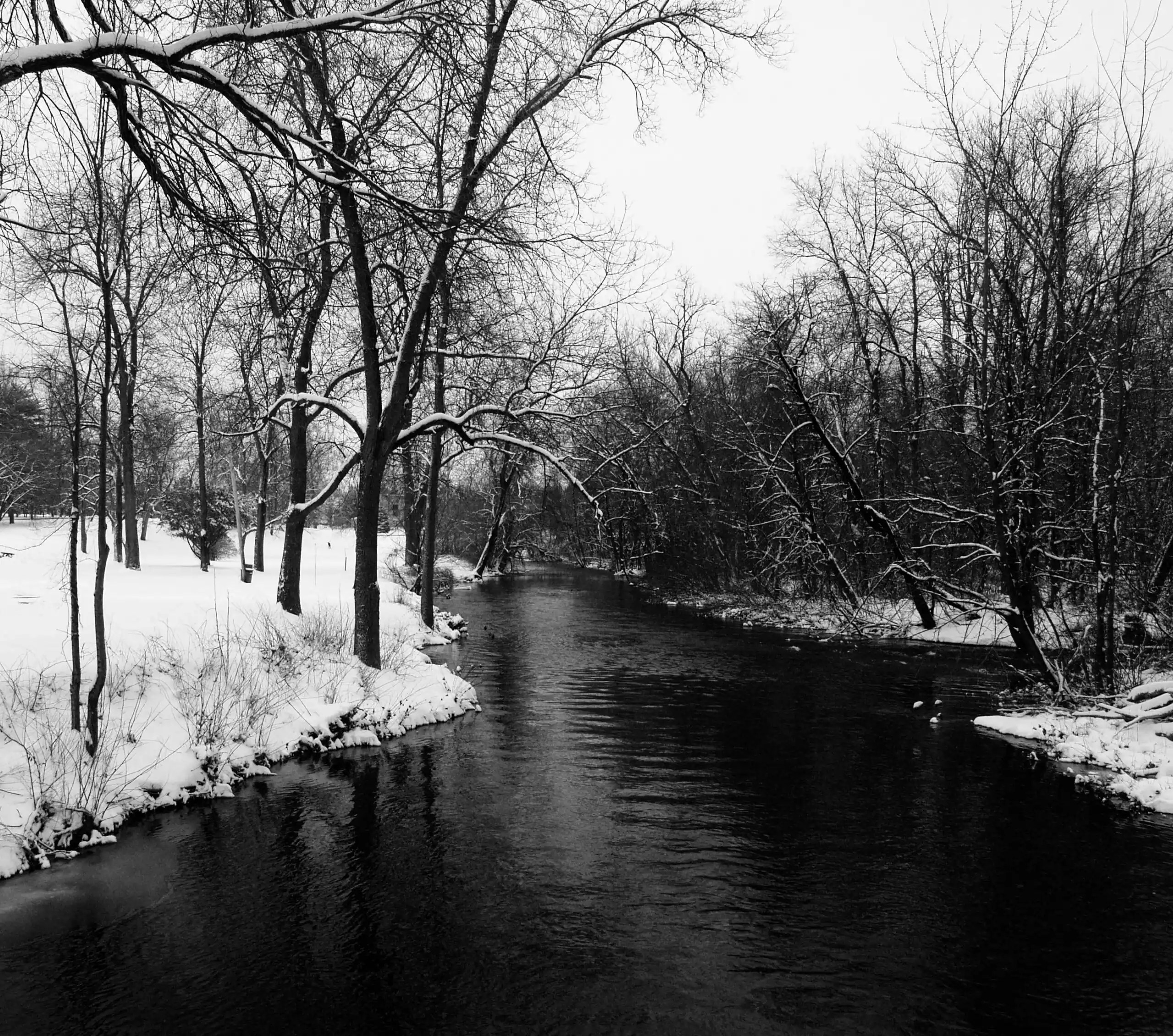 Winter Cold Corel Discovery Center
