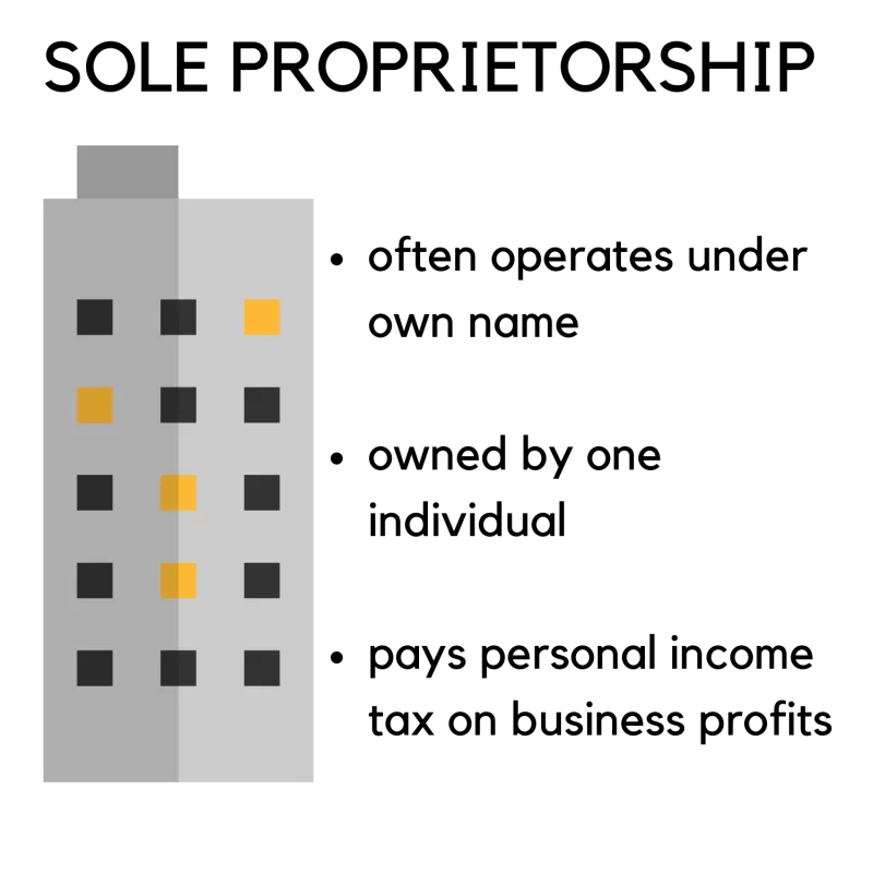 Risks and Benefits of a Sole Proprietorship eForms Learn