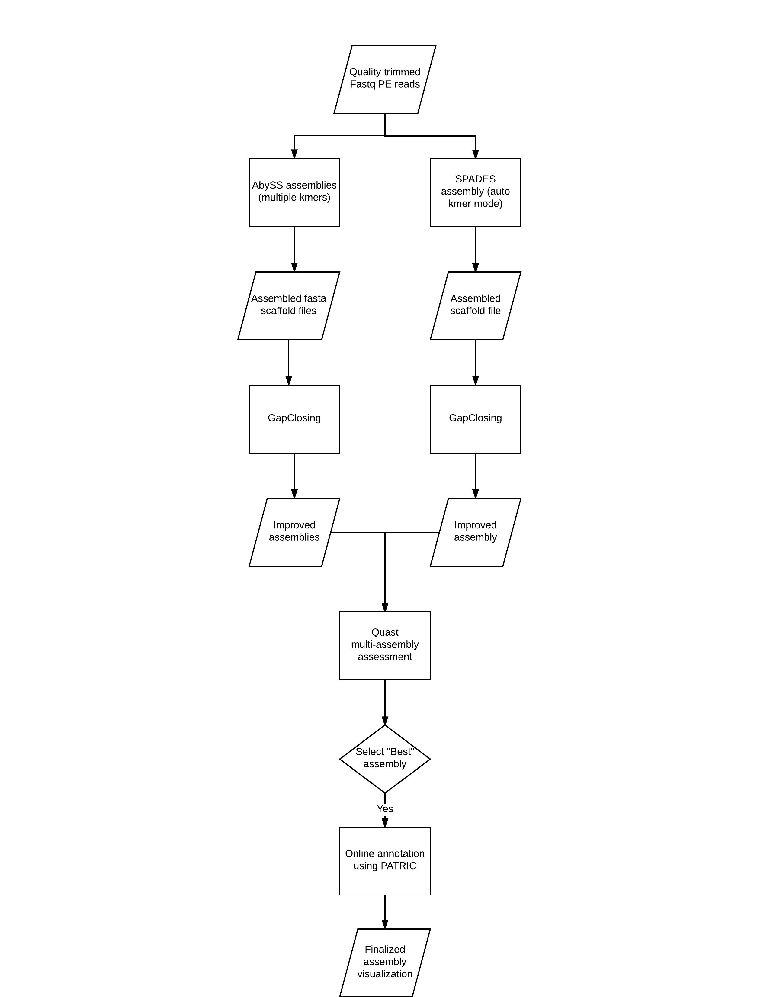 Exercise in de novo assembly NGS Analysis