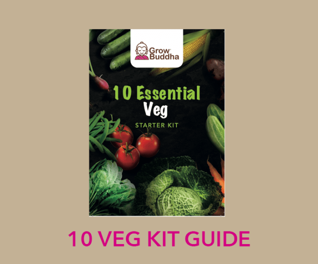 Bonsai Tutorials Grow Buddha