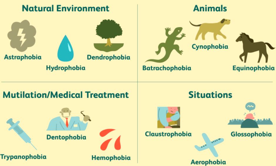 Types of Phobias and Available Treatment Options Humsa School