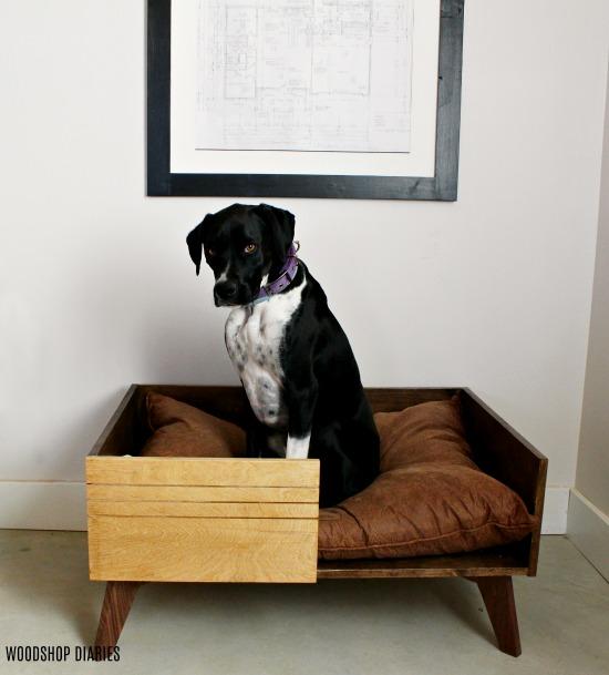 DIY Modern Dog Bed Kreg Tool