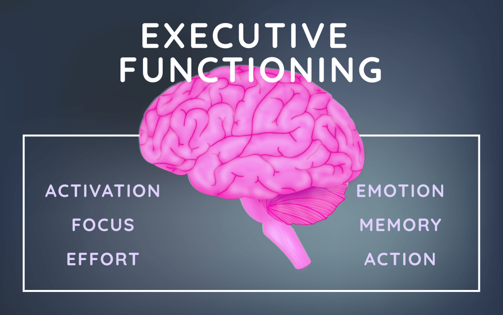 Executive Functions Primer MCIU Learning Network