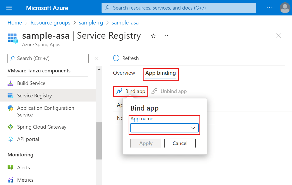 How to Use Tanzu Service Registry with the Azure Spring Apps Enterprise