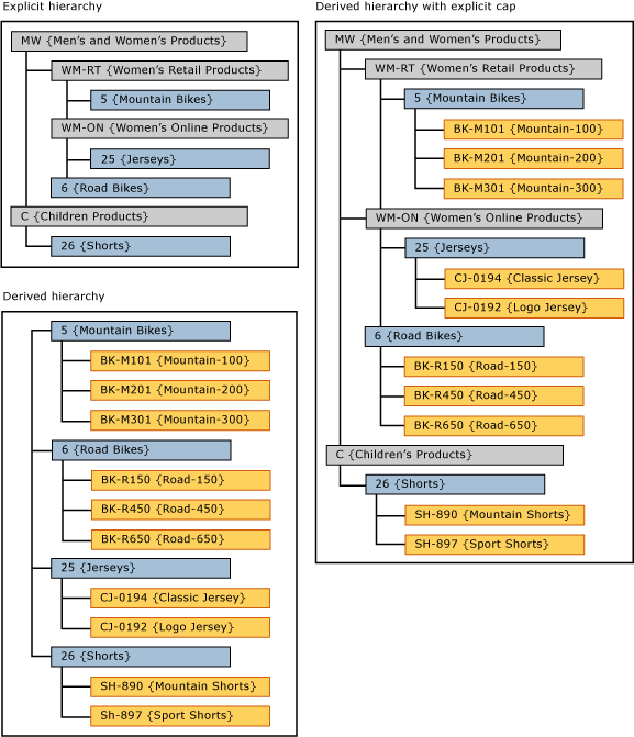 Derived Hierarchies with Explicit Caps SQL Server Master Data
