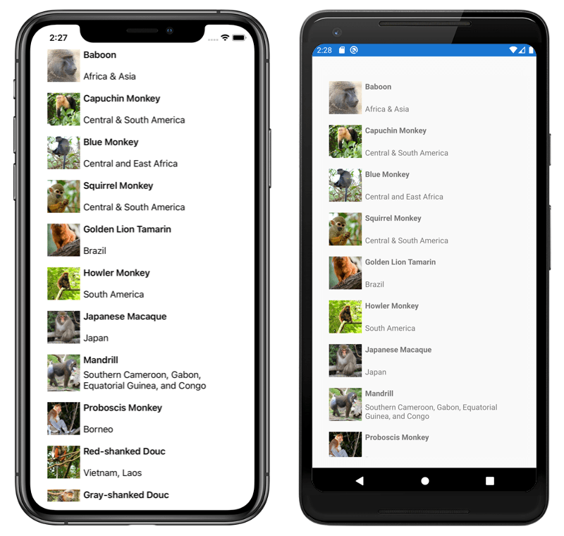 Xamarin.Forms CollectionView Tutorial Code Samples Microsoft Learn