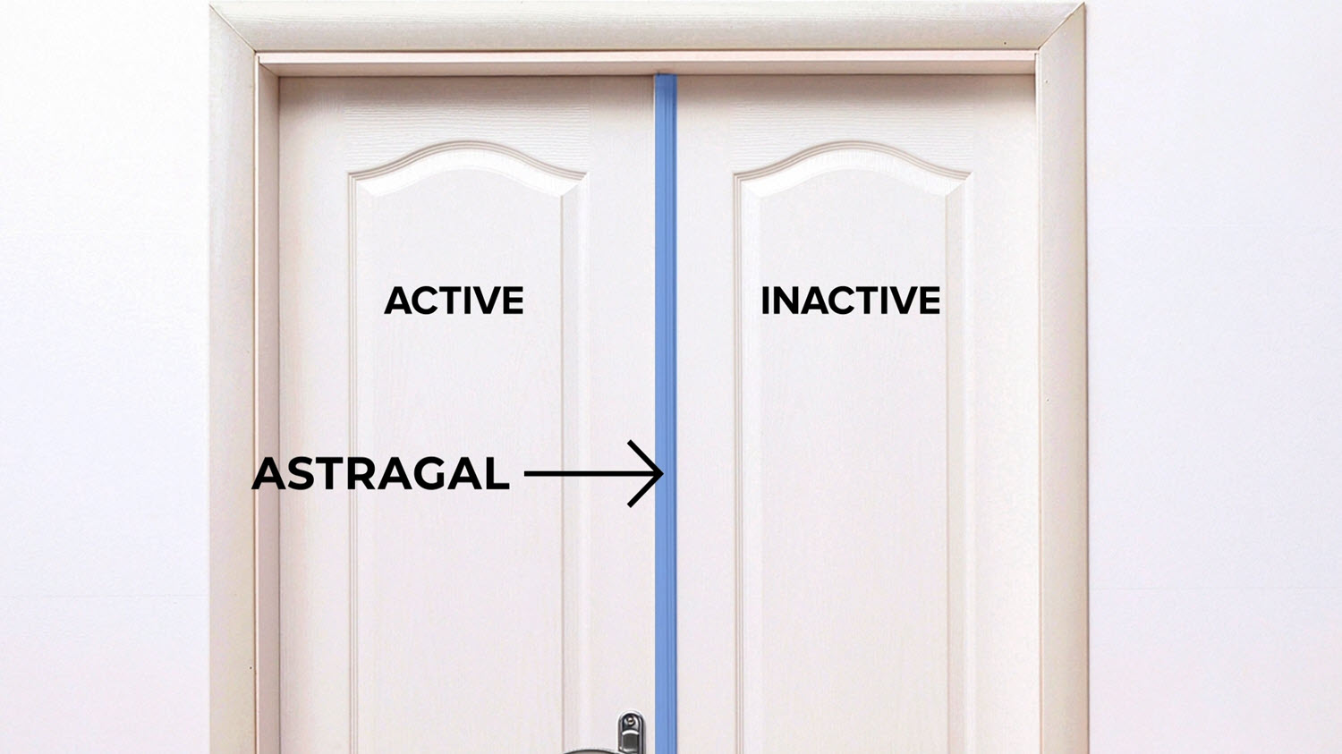 Securing a Double Interior Door Reeb Learning Center