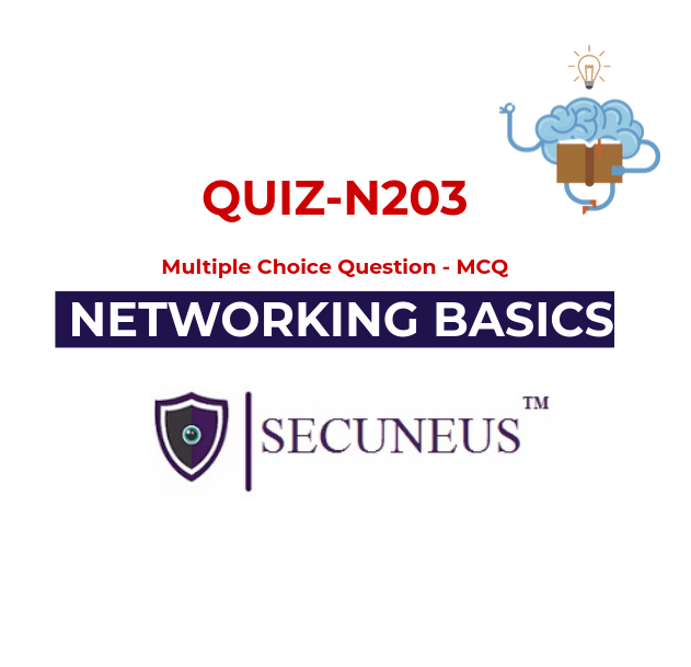 Networking Basic Quiz N203 Cyber Security Secuneus Tech