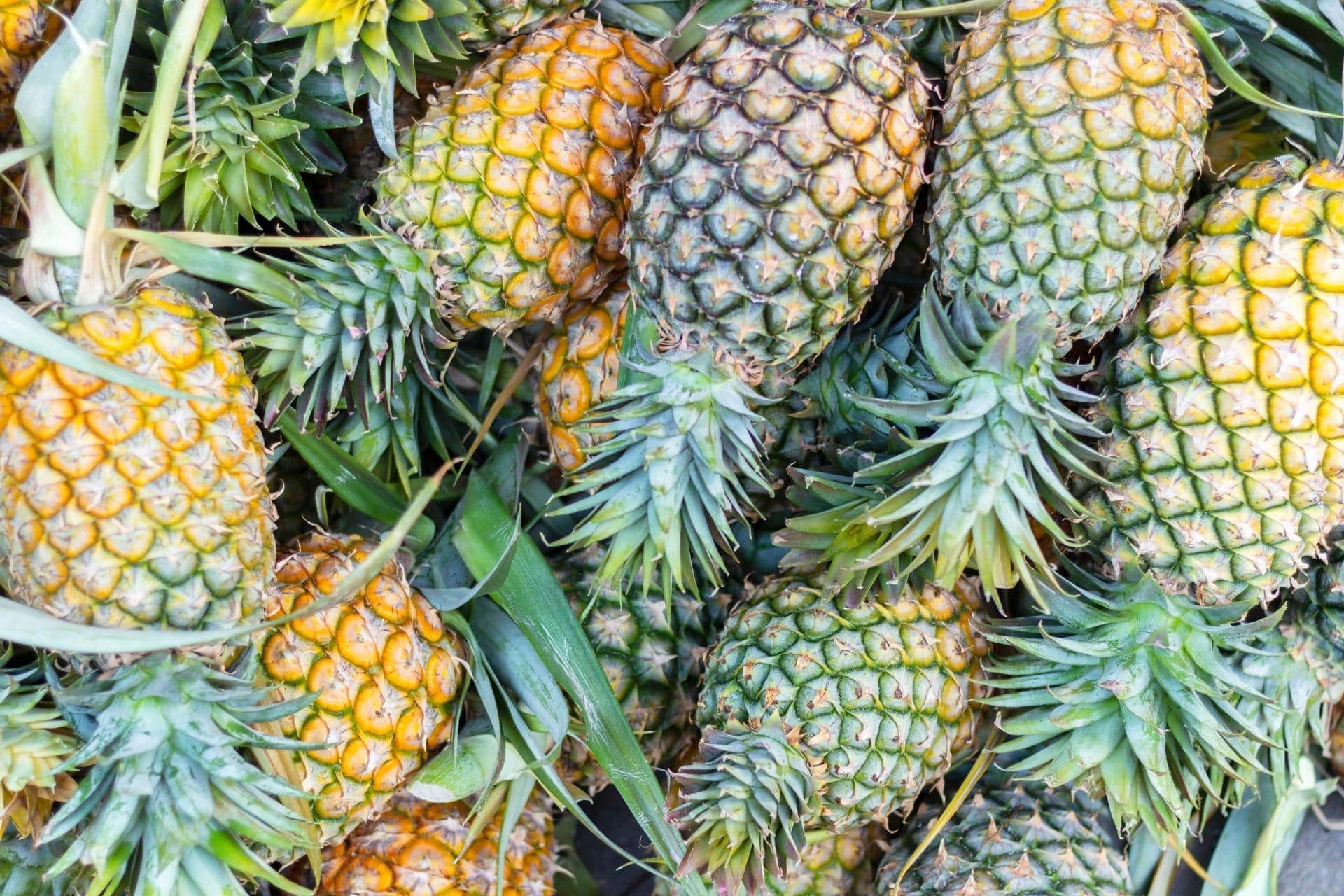 How to Tell if a Pineapple is Ripe Lid & Ladle