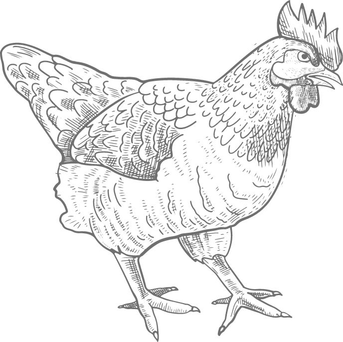 Raising Pastured Meat Chickens Landing Page The Homesteading RD